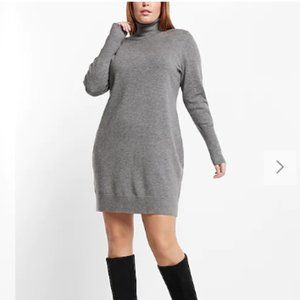 Express Supersoft Turtleneck Long Sleeve Mini Sweater Dress Size Small